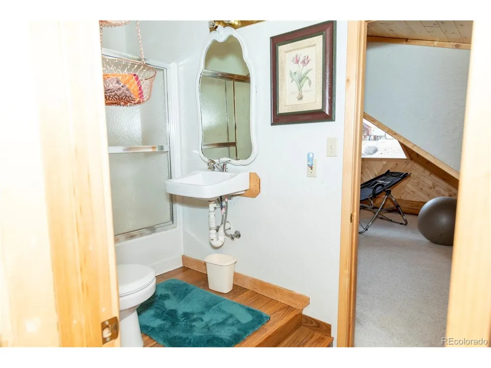 108 Forest Road #552 Creede, CO 81130