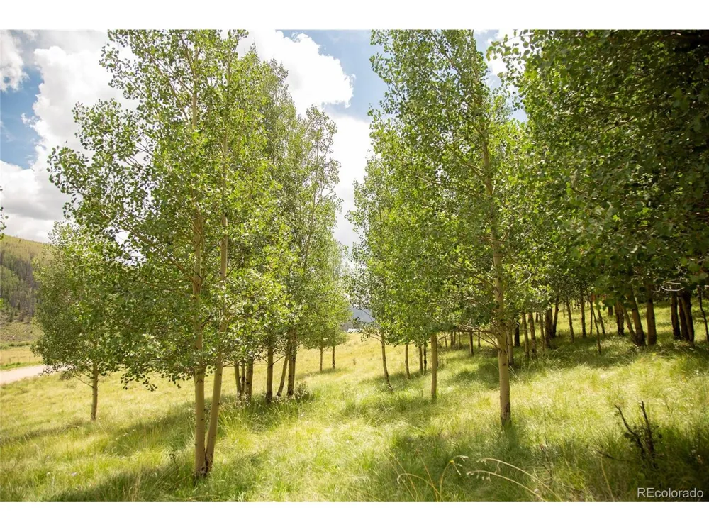 1001 County Rd 17 Lake City, CO 81235