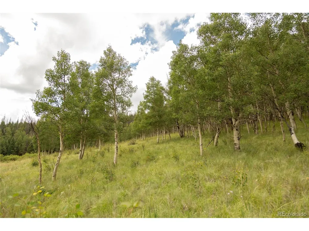 1001 County Rd 17 Lake City, CO 81235