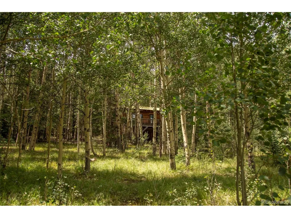 1001 County Rd 17 Lake City, CO 81235