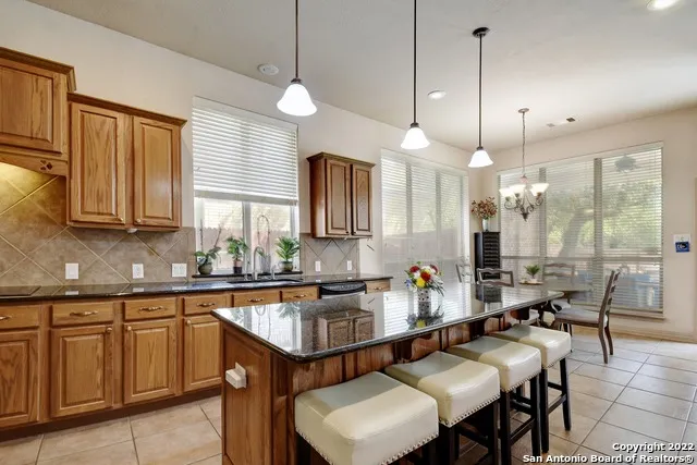 15814 HACHITA BLANCO Helotes, TX 78023