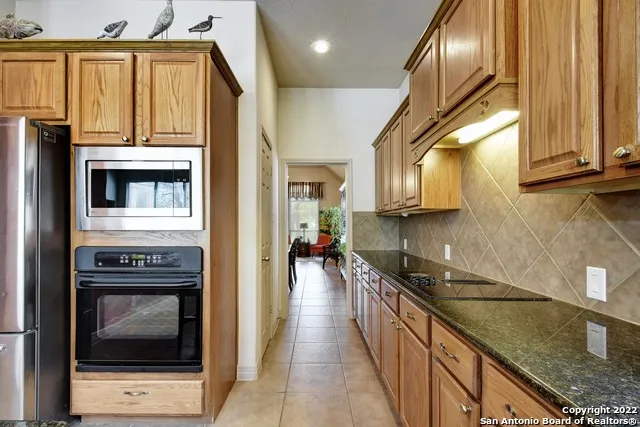 15814 HACHITA BLANCO Helotes, TX 78023