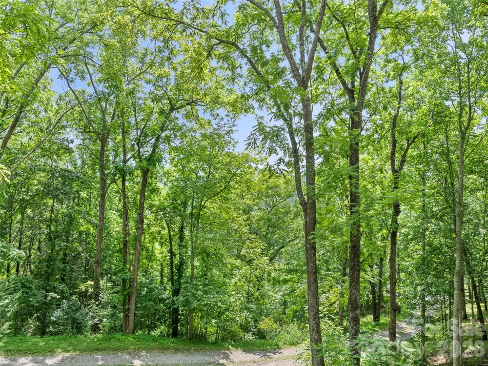 145 Hiaway Trail Clyde, NC 28721