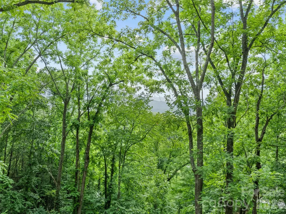 145 Hiaway Trail Clyde, NC 28721