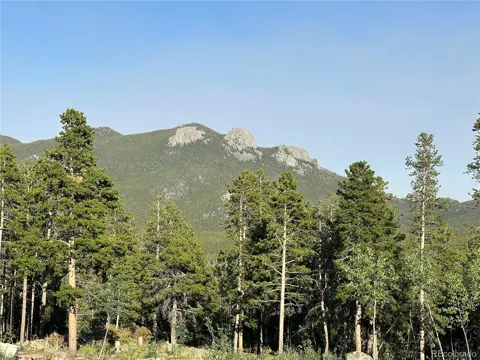 Mountain Meadows