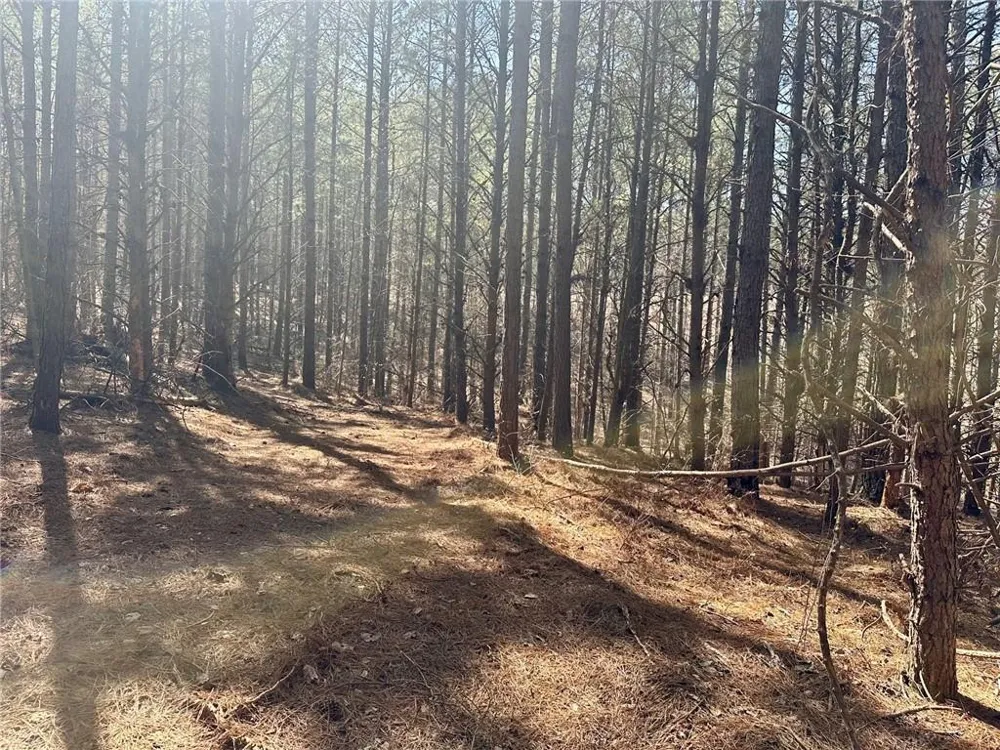 555 Larmon Forks Road Dahlonega, GA 30533