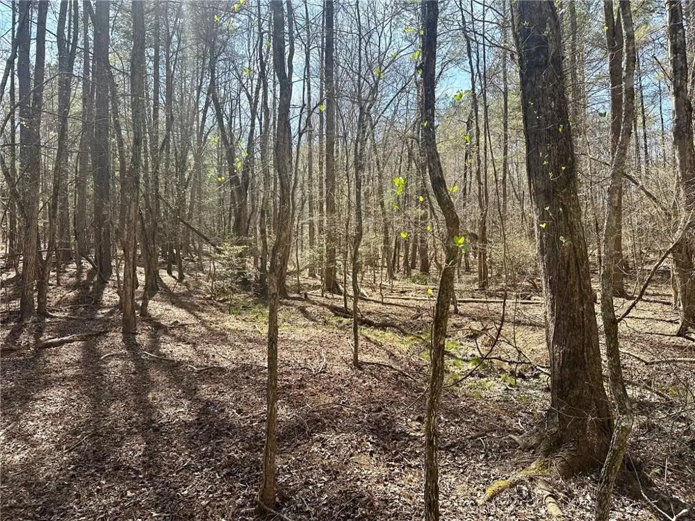 555 Larmon Forks Road Dahlonega, GA 30533