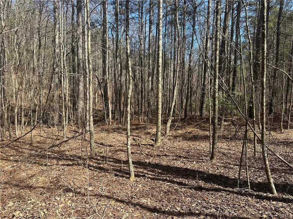 555 Larmon Forks Road Dahlonega, GA 30533
