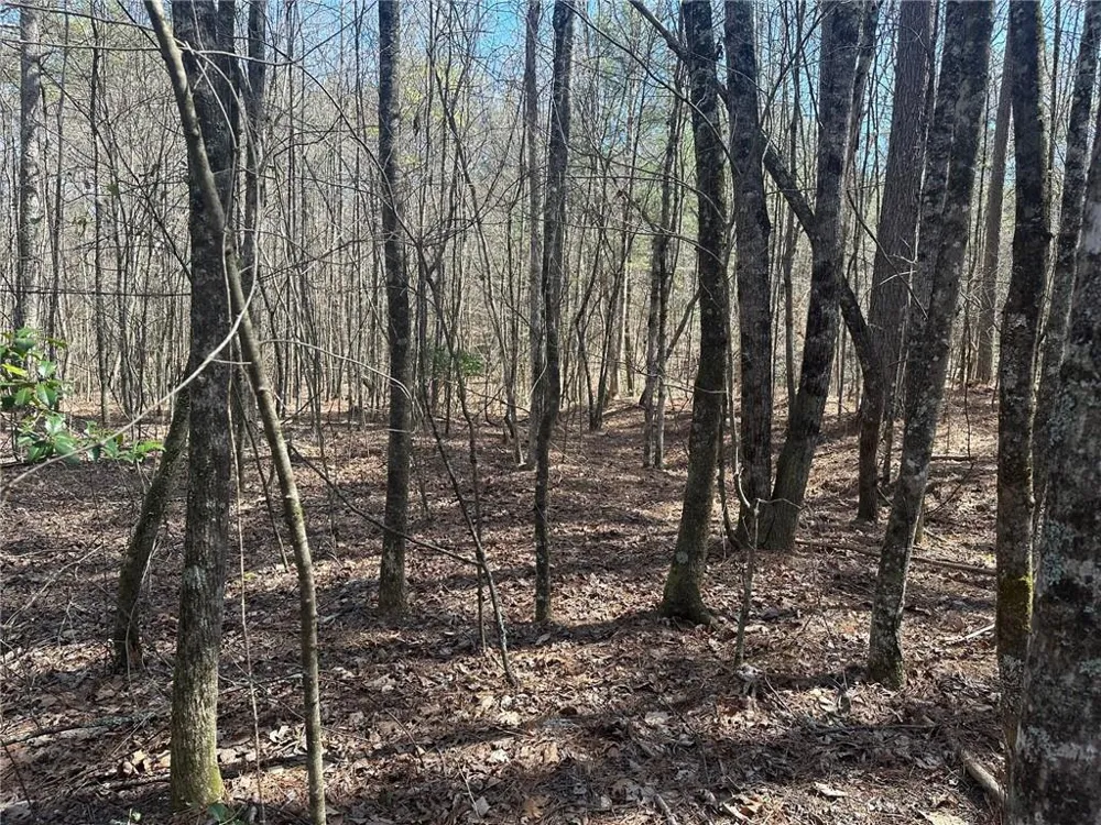 555 Larmon Forks Road Dahlonega, GA 30533