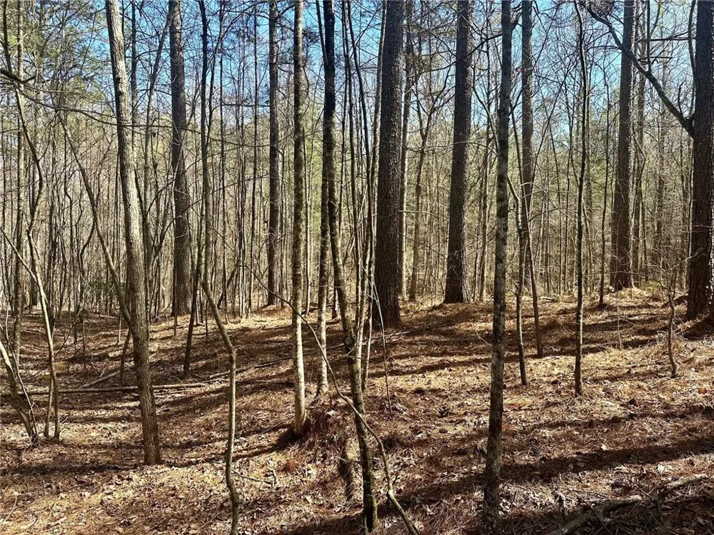 555 Larmon Forks Road Dahlonega, GA 30533