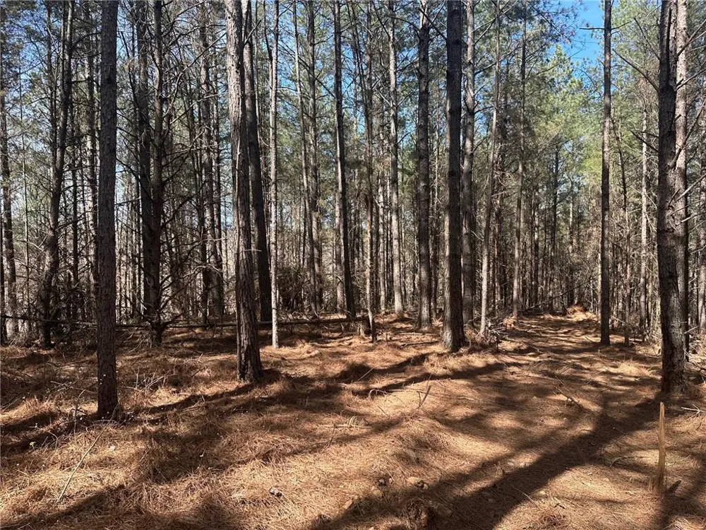 555 Larmon Forks Road Dahlonega, GA 30533