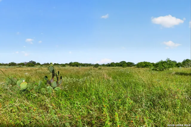 457 County Road 410 Stockdale, TX 78160