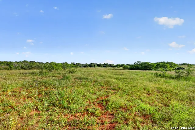 457 County Road 410 Stockdale, TX 78160