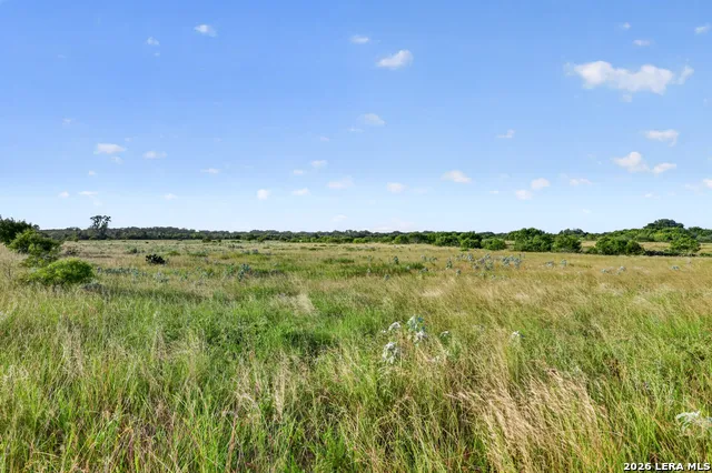 457 County Road 410 Stockdale, TX 78160