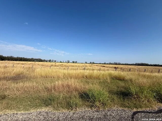 3352 FM 1590 Quemado, TX 78877