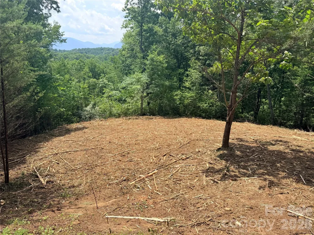 0 Rock Ledge Drive #247 Lake Lure, NC 28746