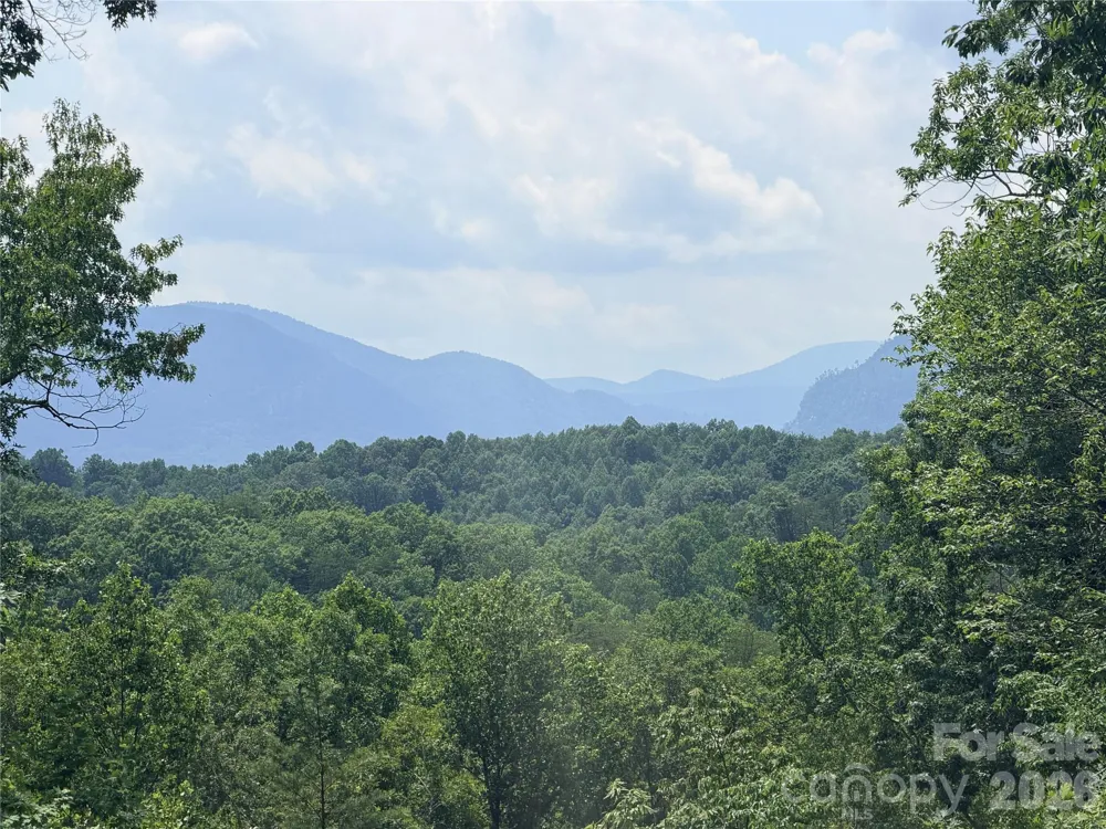 0 Rock Ledge Drive #247 Lake Lure, NC 28746