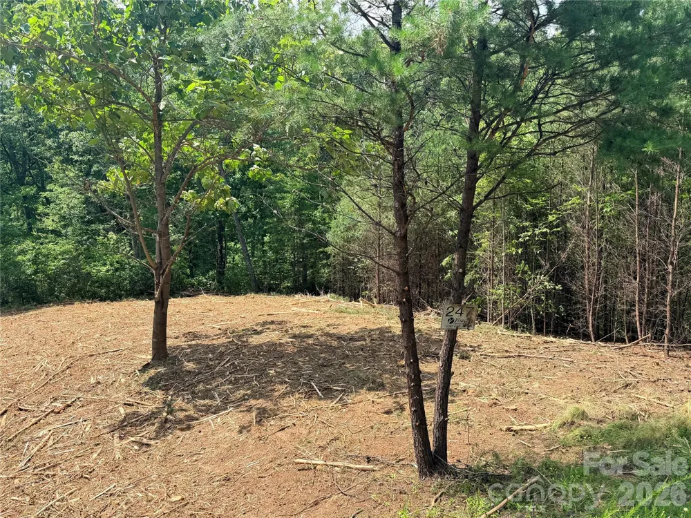 0 Rock Ledge Drive #247 Lake Lure, NC 28746