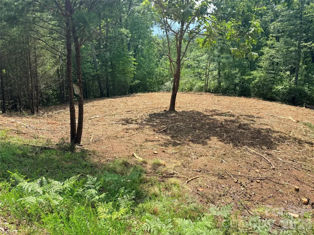 0 Rock Ledge Drive #247 Lake Lure, NC 28746