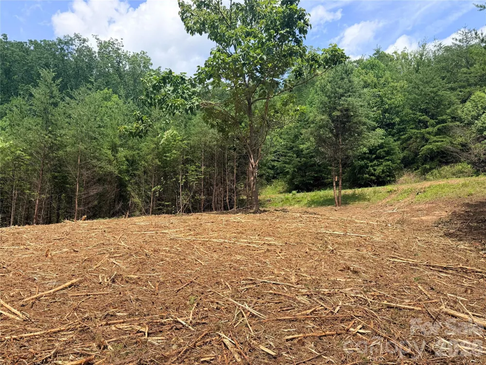0 Rock Ledge Drive #247 Lake Lure, NC 28746