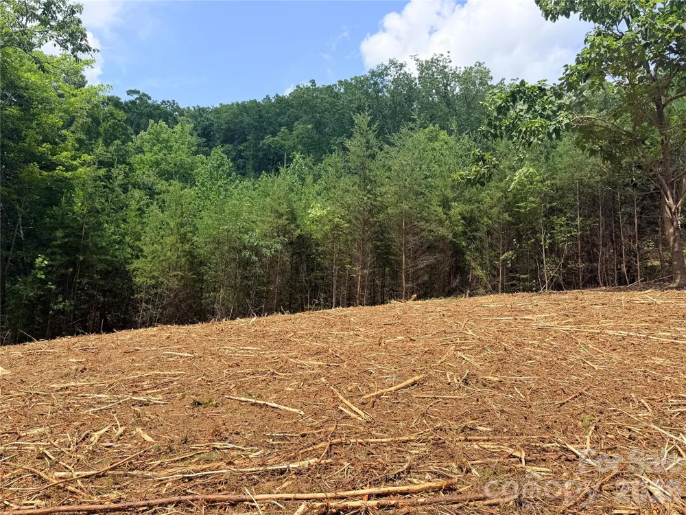 0 Rock Ledge Drive #247 Lake Lure, NC 28746