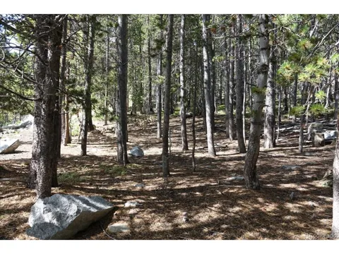 0 Upper Forest Rd