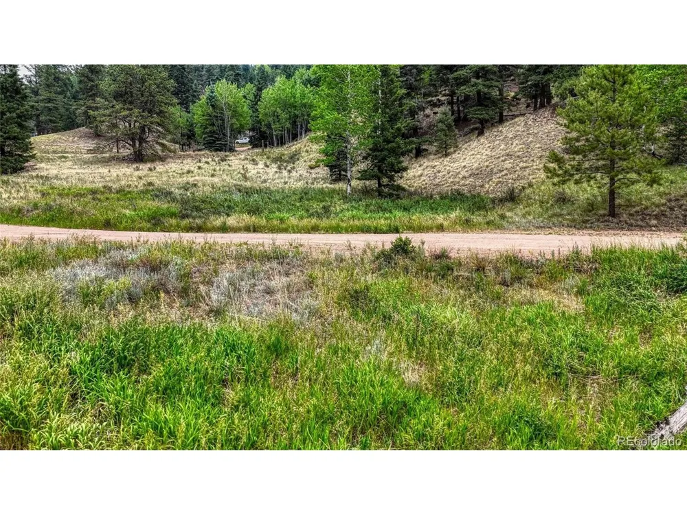 830 Pinon Lane Florissant, CO 80816