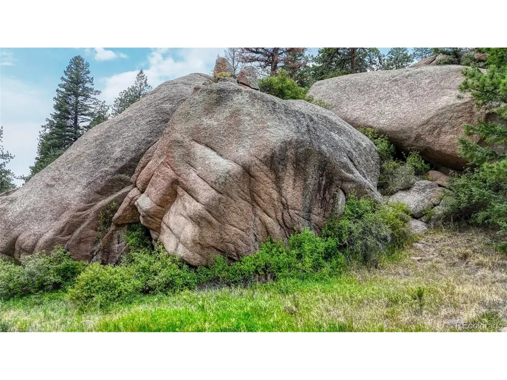 830 Pinon Lane Florissant, CO 80816