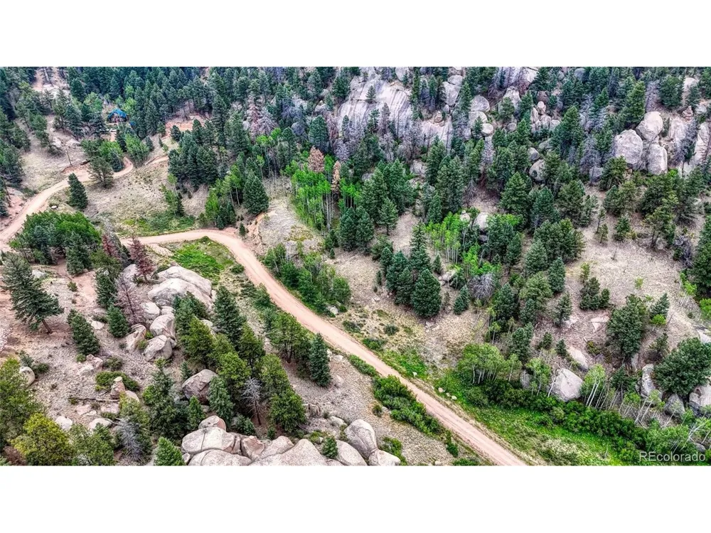 830 Pinon Lane Florissant, CO 80816