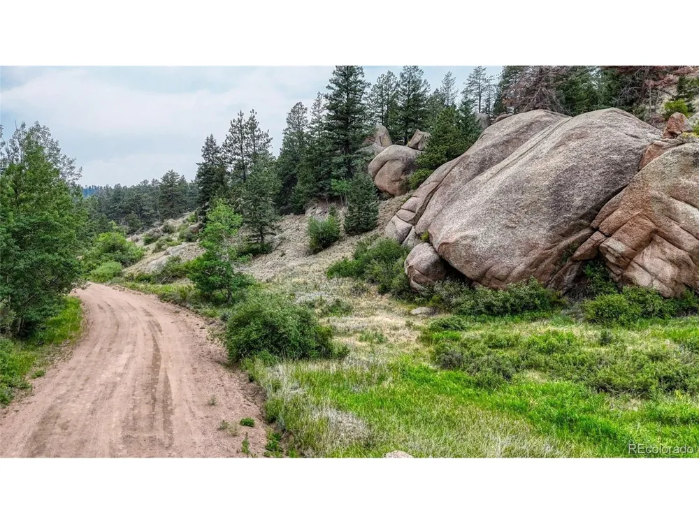 830 Pinon Lane Florissant, CO 80816