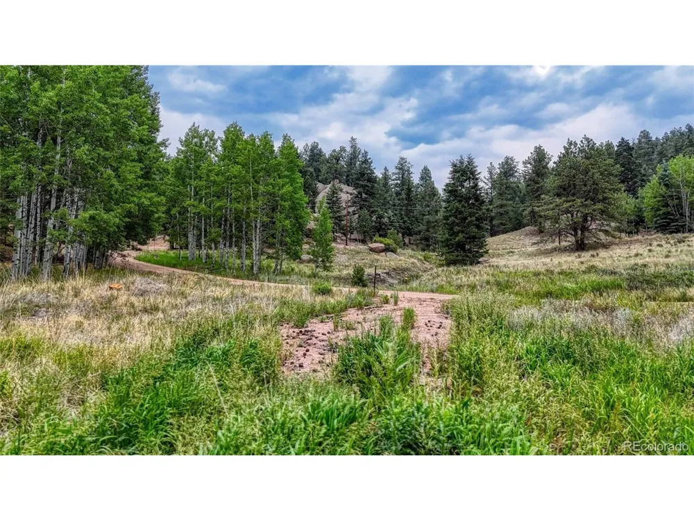830 Pinon Lane Florissant, CO 80816