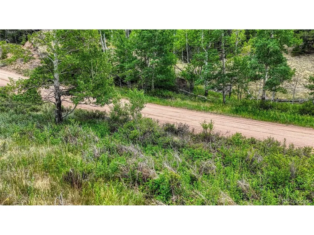 830 Pinon Lane Florissant, CO 80816