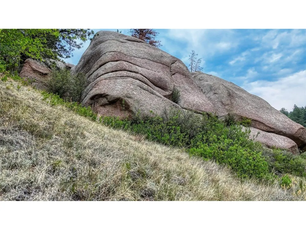 830 Pinon Lane Florissant, CO 80816