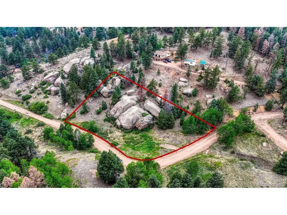 830 Pinon Lane Florissant, CO 80816