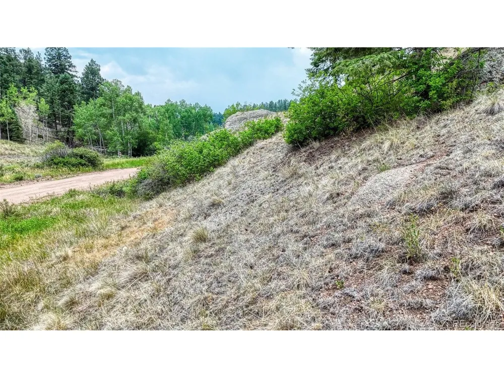 830 Pinon Lane Florissant, CO 80816