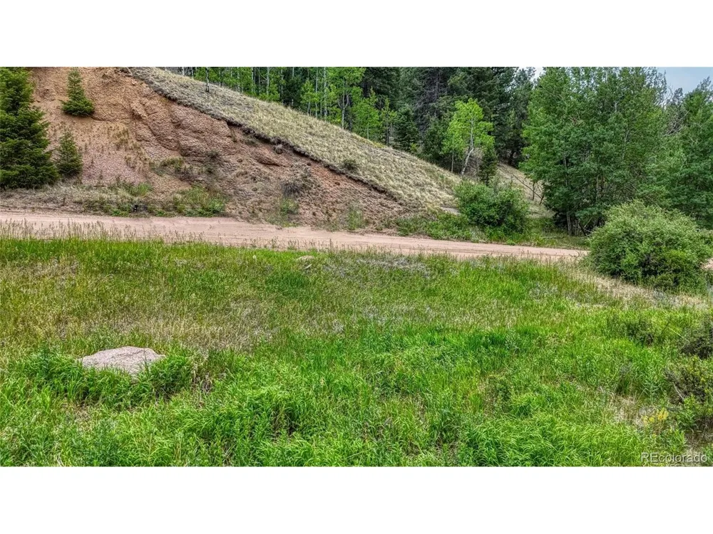 830 Pinon Lane Florissant, CO 80816