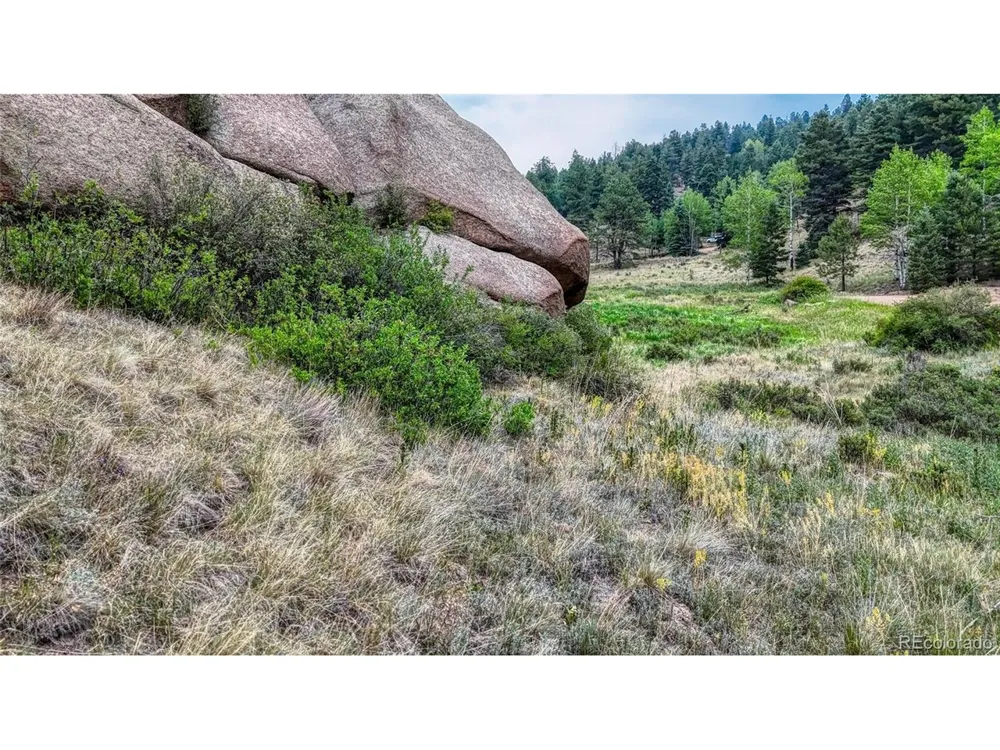 830 Pinon Lane Florissant, CO 80816