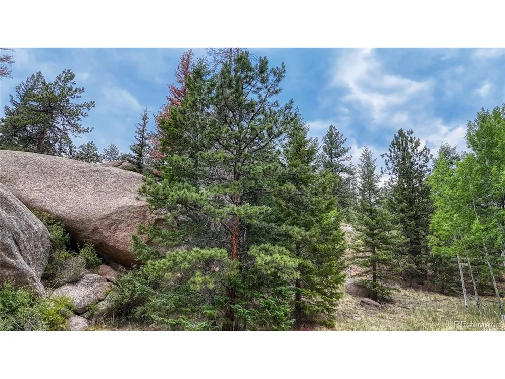 830 Pinon Lane Florissant, CO 80816