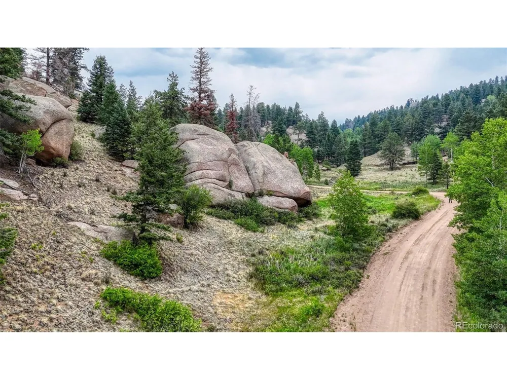 830 Pinon Lane Florissant, CO 80816