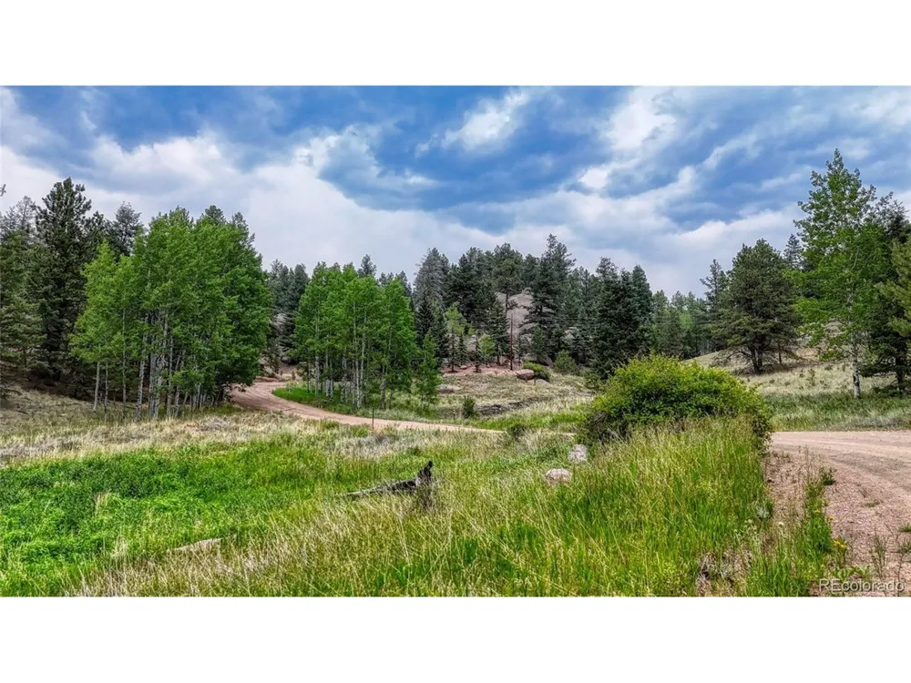 830 Pinon Lane Florissant, CO 80816
