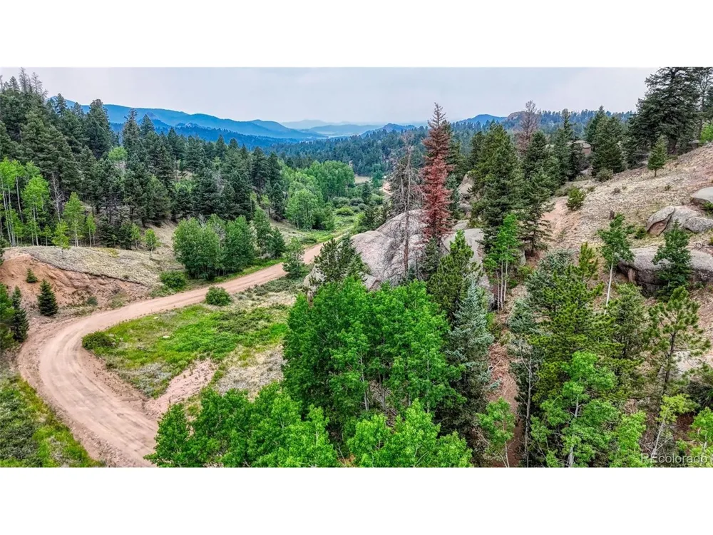 830 Pinon Lane Florissant, CO 80816