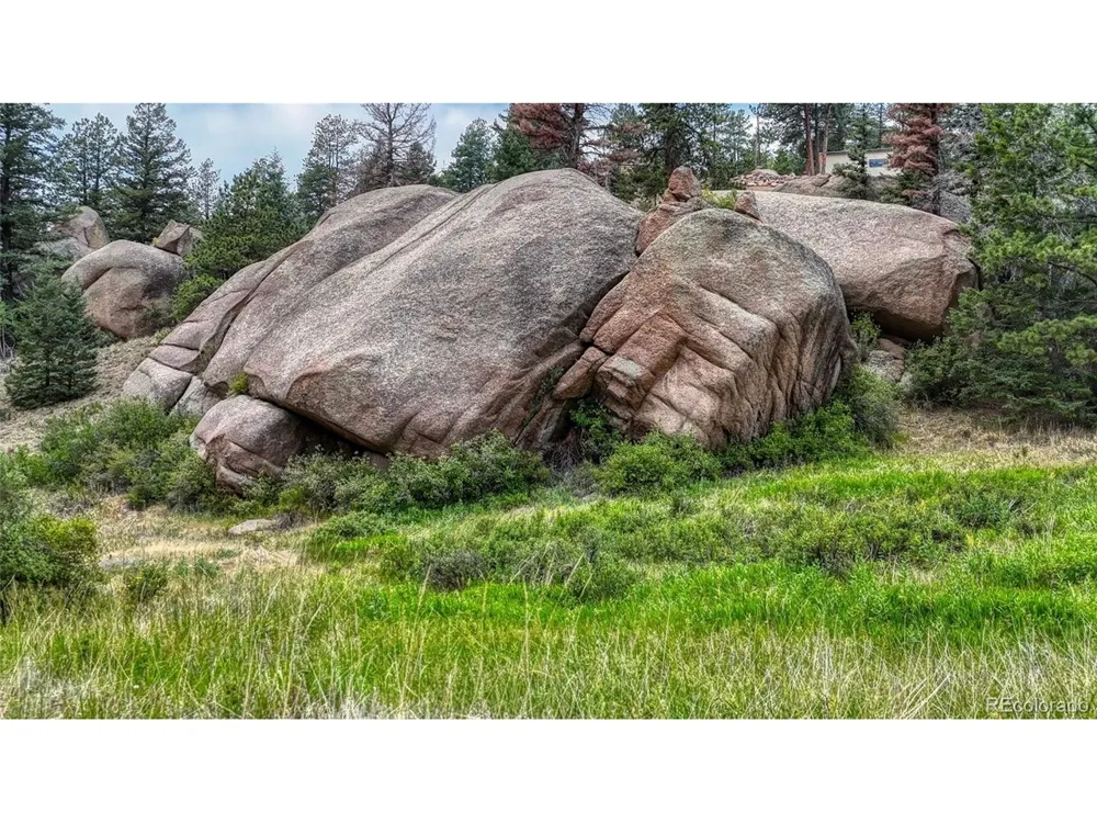 830 Pinon Lane Florissant, CO 80816