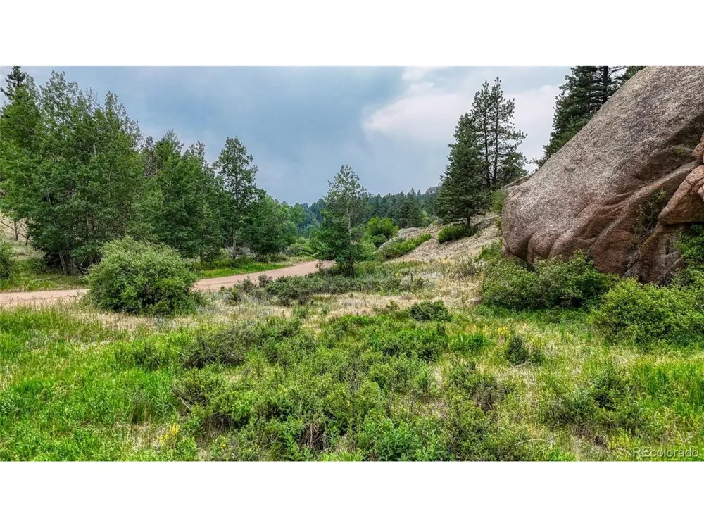 830 Pinon Lane Florissant, CO 80816