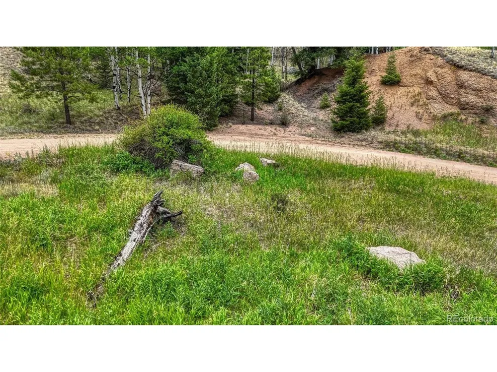 830 Pinon Lane Florissant, CO 80816