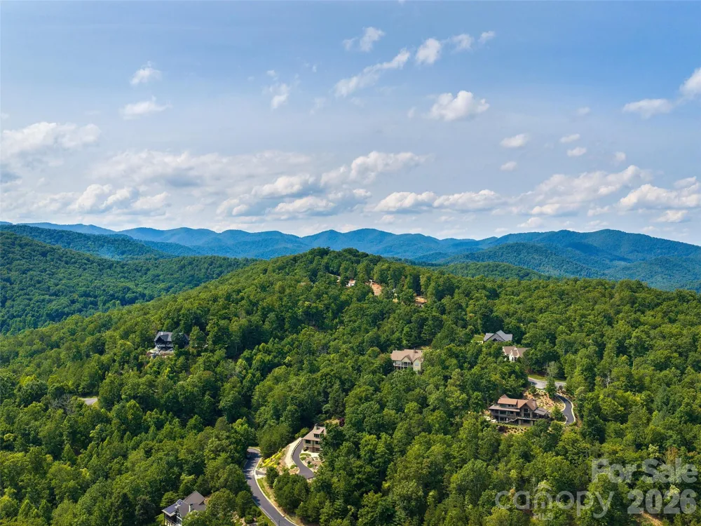 91 Watershed Way Horse Shoe, NC 28742
