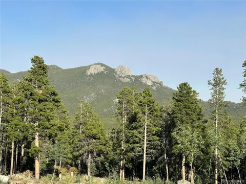 Mountain Meadows