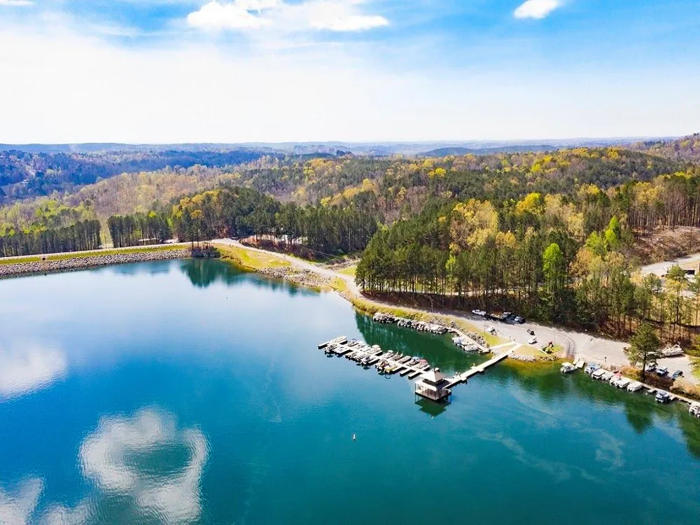 150 Ft Gibson Court Waleska, GA 30183