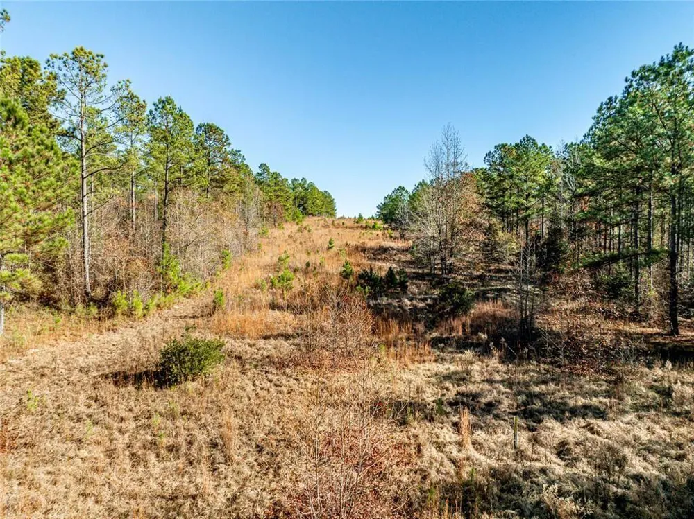 0 Indian Trail Road Sandersville, GA 31082