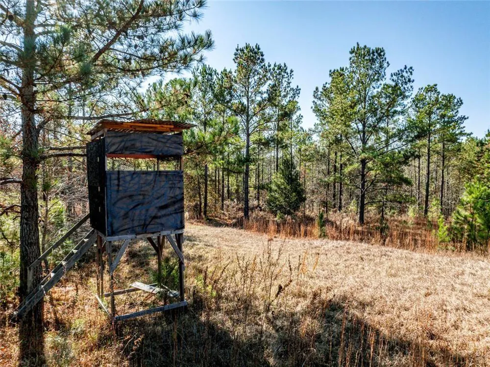 0 Indian Trail Road Sandersville, GA 31082