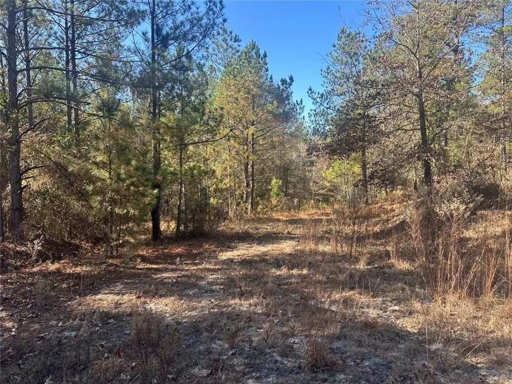 0 Indian Trail Road Sandersville, GA 31082